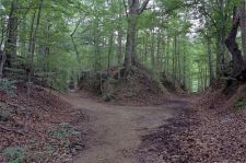 Natchez Trace