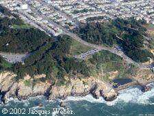 Point Lobos